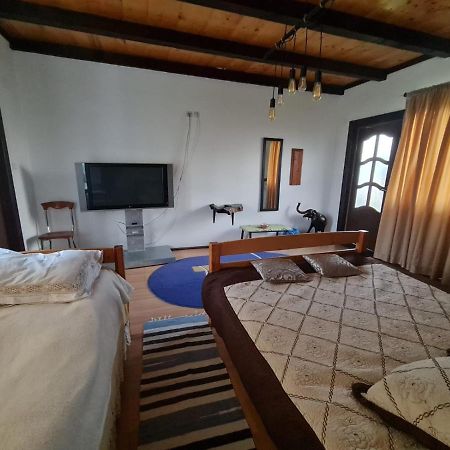 Jugul Taranului Agropensiune Polovragi, Gorj Villa Ngoại thất bức ảnh