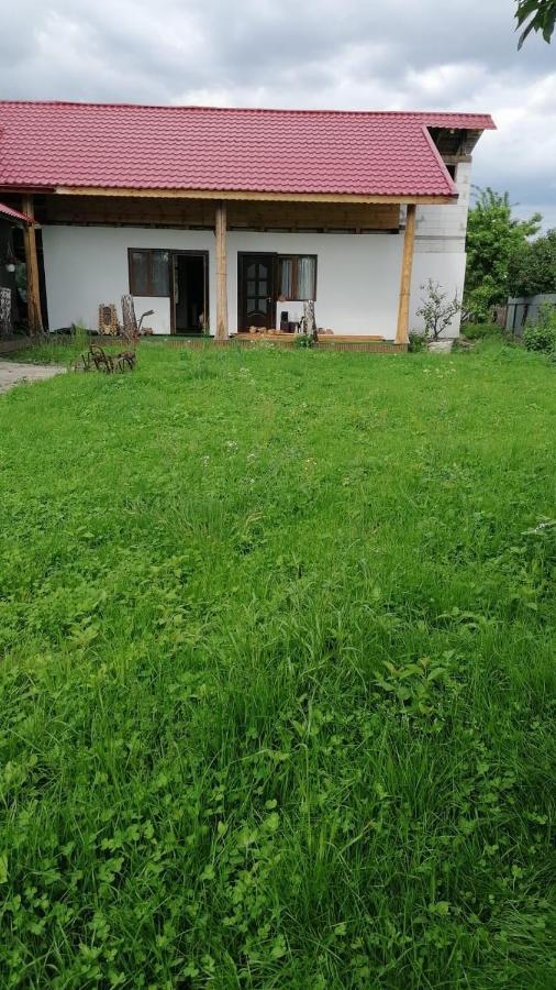Jugul Taranului Agropensiune Polovragi, Gorj Villa Ngoại thất bức ảnh