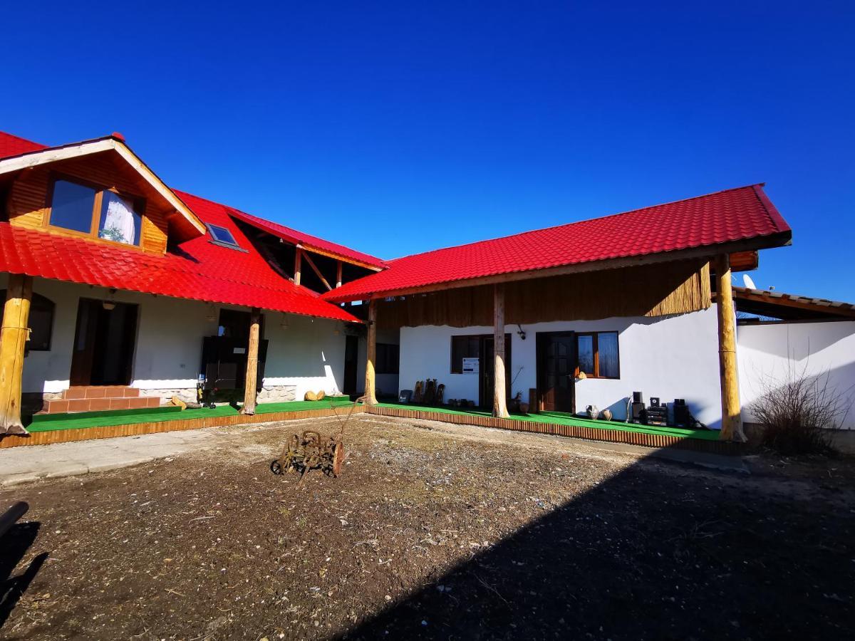 Jugul Taranului Agropensiune Polovragi, Gorj Villa Ngoại thất bức ảnh