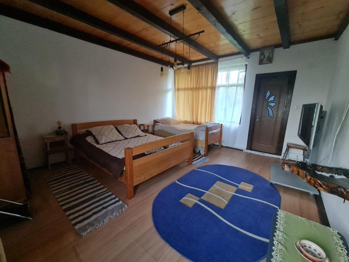 Jugul Taranului Agropensiune Polovragi, Gorj Villa Ngoại thất bức ảnh